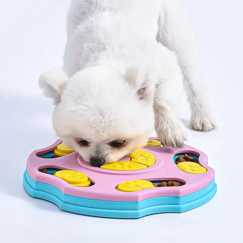Paw Glide Puzzle Board