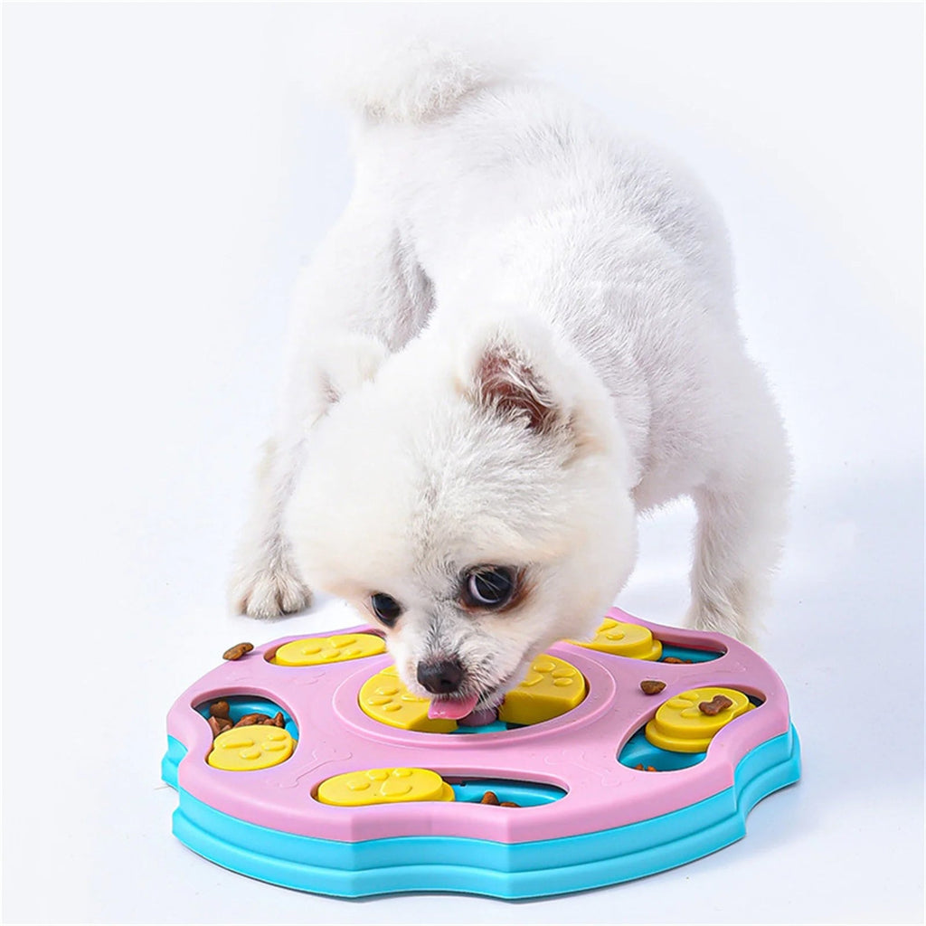 Paw Glide Puzzle Board