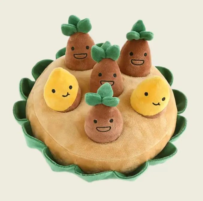 Sweet Potato Patch Hide n Seek Toy